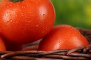 22 Tons of Armenian Tomatoes Bound for Russia Not Banned