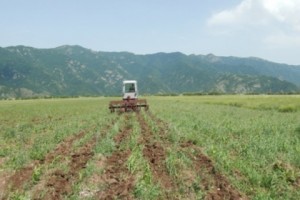 Գյուղատնտեսության նախարարության խորհուրդները հողօգտագործողներին