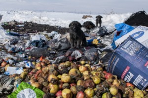 Gegharkunik: Armenia’s Legal and Illegal Garbage Dumps