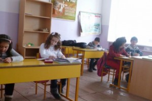 Школа в Семеновке нуждается в газификации