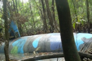 US: Drug Submarine Nabbed Near Panama, Four Arrested