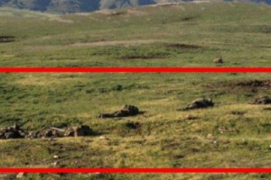 МО НКР опубликовало фото тел азербайджанских солдат, убитых при бегстве