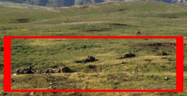 Օсуществлен обмен телами погибших