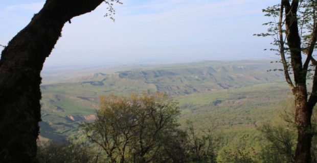 Заявление Министерства обороны НКР