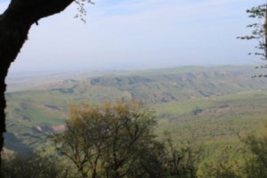 Ադրբեջանական կողմը հրդեհել է չեզոք գոտու խոտածածկույթը. ԼՂՀ ՊՆ