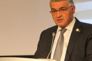 Armenia's Deputy Foreign Minister Participated in Istanbul World Humanitarian Summit