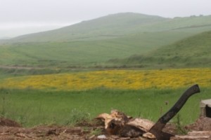 Artsakh Line of Contact Relatively Calm