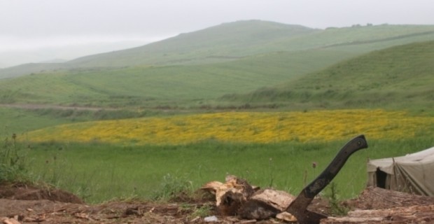 Artsakh Line of Contact Remains Calm, Despite Sporadic Small Arms Fire