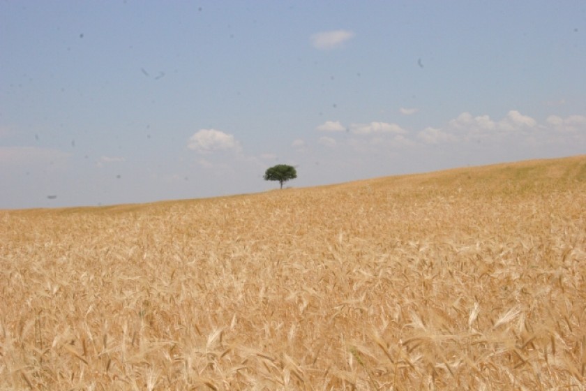 Artsakh Line of Contact Remains Calm