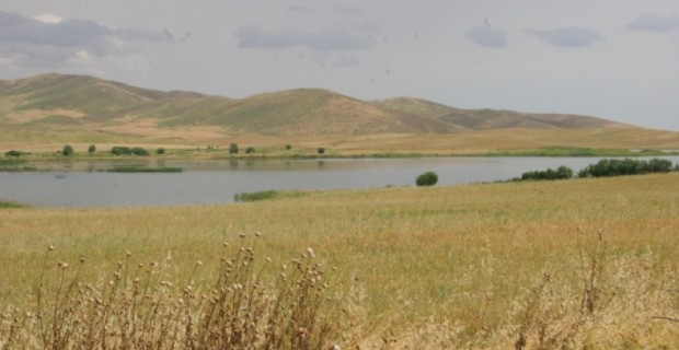 Շփման գծում պահպանվել է հարաբերական անդորր