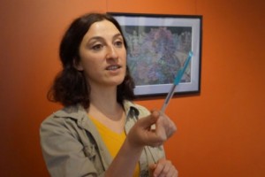 «Սարգիս Մուրադյան» պատկերասրահում բացվեց Մարիամ Սուխուդյանի նկարների 
ցուցահանդեսը