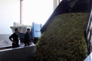«Վինար» ընկերությունը քաղցրաշենցիներին խոստացված գումարը այդպես էլ չի վճարել