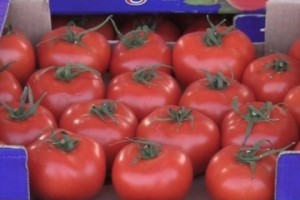 Armenian Ministry Takes Steps to Halt Importation of Turkish Produce
