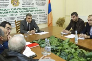 Քննարկվել են մեղվաբուծության զարգացման հեռանկարները