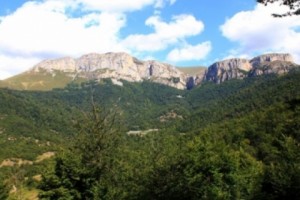 Բնապահպանության նախարարության չորս ՊՈԱԿ-ների վերամիավորումով կտնտեսվի 20 միլիոն դրամ