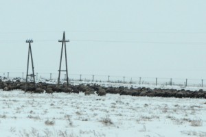 «Անիի ավերակներից բեթար»՝ Ախուրյանի հայկական ափին