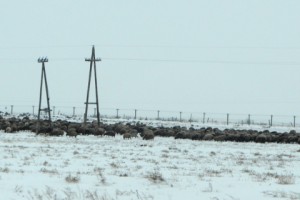 On the Armenian Side of the Akhouryan: “In worse shape than the ruins of Ani”