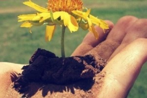 &quot;To anyone who has never thought about giving a gift of life&quot;