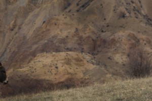 «Մեր երկիրը դրախտ է։ Այն ուղղակի պիտի մաքրվի, կազմակերպվի ու ճիշտ ներկայացվի»