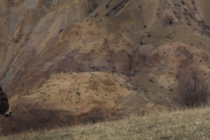 Extreme Tourism in Armenia: The Potential Exists in this Undiscovered Paradise

