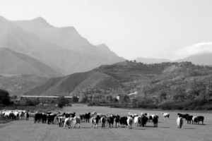 Armenia’s Kapan Airport: Challenging Topography and Local Politics Work Against Its Reopening