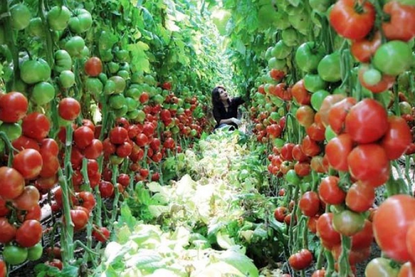Ի՞նչ ներդրումներ են իրականացվելու Սյունիքում եւ Լոռիում