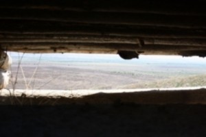 Artsakh Blames Baku for Breaching Agreement to Remove Dead Azerbaijani Soldiers from Battlefield