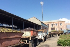Վերամշակող ընկերությունները մարել են ավելի քան 740 մլն դրամի պարտք