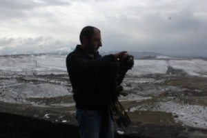 Գիշատիչ թռչունների խնամակալը