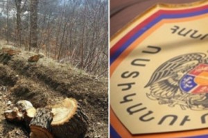 Armenian Police Investigate Illegal Logging in Tavoush
