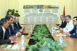 Իրանցի գործարարներն առաջարկել են Հայաստանում հիմնել լոլիկի մածուկի արտադրություն