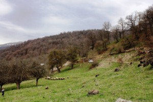 Կալավանի ֆենոմենը․ Մոդել, որ կիրառելի է Հայաստանի գյուղերի համար