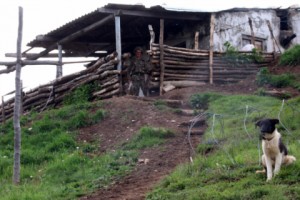 Арцах: северная граница (фото)