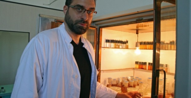«Սկսիր փոքրից՝ երազելով մեծի մասին»,- ասում է Հայաստանում աշխատող խորվաթ 
գիտնականը