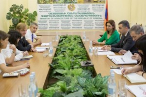 Խաղողի այգիների քարտեզագրմանը վերաբերող հարցեր են քննարկվել

