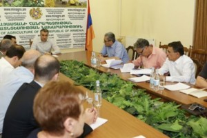 Զարուհի Մուրադյանն ընտրվել է Հայաստանի խաղողագործության և գինեգործության հիմնադրամի
տնօրեն