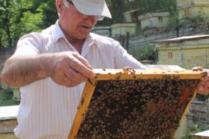 Volodya, Syunik’s Beekeeper: A Family History with Connections to Garegin Nzhdeh