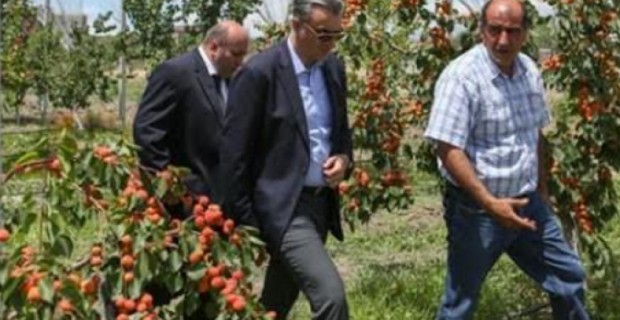 Գյուղնախարարությունը, շփոթելով իրական սեփականատիրոջը, 25 տարով հողամաս 
հատկացրեց ընկերությանը
