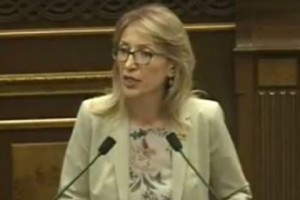 Депутат Мане Тандилян обеспокоена длительными сроками предварительного расследования