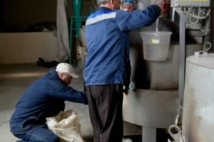 Экономическая активность в первом полугодии выросла на 6,1%