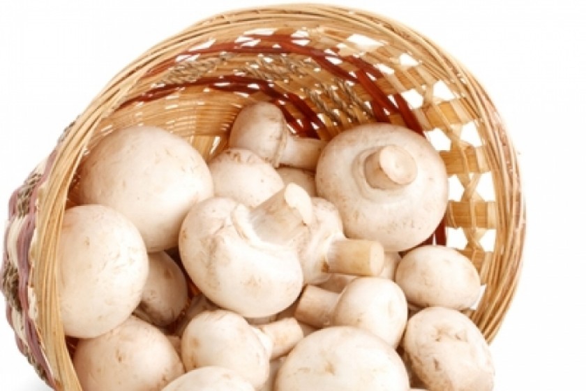 29 People in Armenia Sick from Eating Poisonous Mushrooms