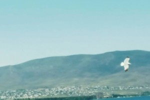600,000 + Tourists to Armenia in First Half of 2017