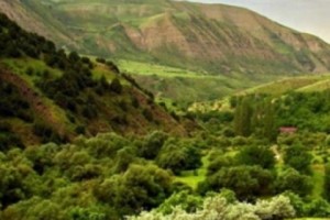 Հրդեհ «Խոսրովի անտառ» պետական արգելոցում