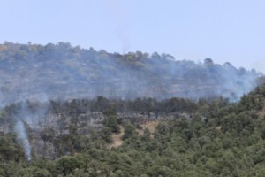 Ministry Claims 85% of Khosrov Wildfire Extinguished