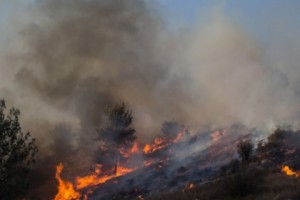 Արտավանի հրդեհը մարվել է. ԱԻՆ