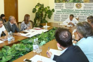 Քննարկվել են Հայաստանի խաղողագործության և գինեգործության հիմնադրամի առաջիկա ծրագրերը 
