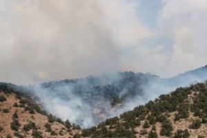 Խոսրովի արգելոցում շուրջօրյա հերթապահություն է սահմանված
