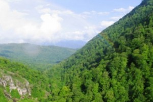 ԲՆ. «Դիլիջան» ազգային պարկ»-ի տարածքում մարվել են բռնկված հրդեհի օջախները