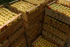 С  января по август экспорт вырос на 21,7%, импорт – на 26%
