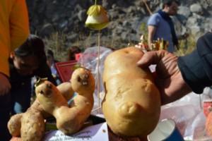Potato Lovers Unite: Village Food Festival Connects Growers and Consumers